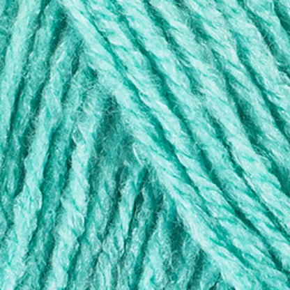 Red Heart Super Saver Economy - Bag of 3 Yarn Pack