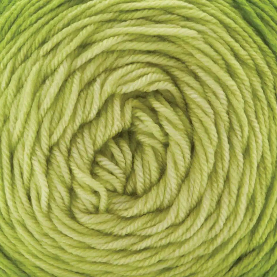 Premier Everyday Worsted Gradient Yarn