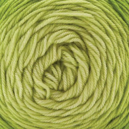 Premier Everyday Worsted Gradient Yarn