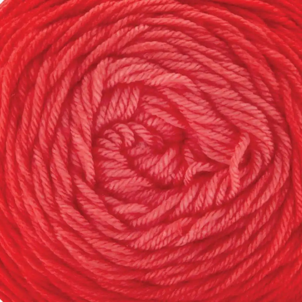 Premier Everyday Worsted Gradient Yarn