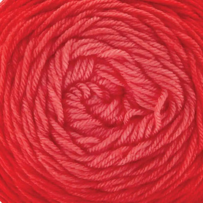 Premier Everyday Worsted Gradient Yarn