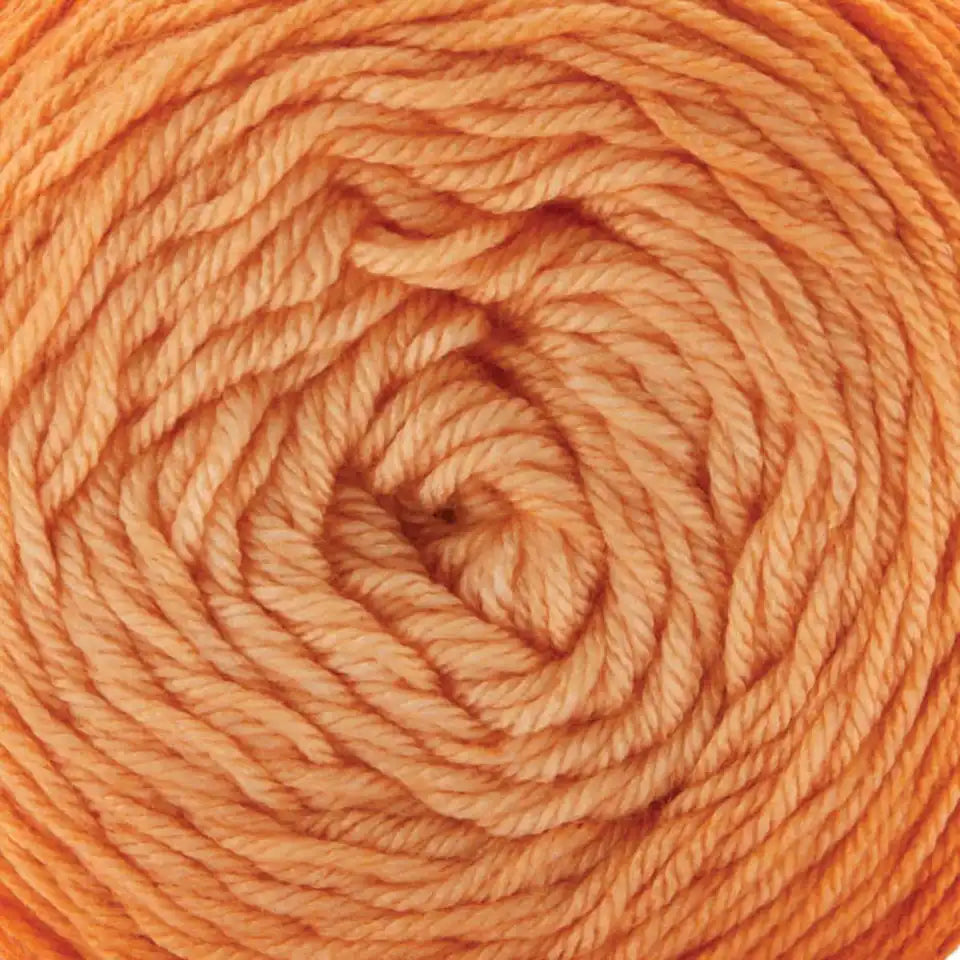 Premier Everyday Worsted Gradient Yarn