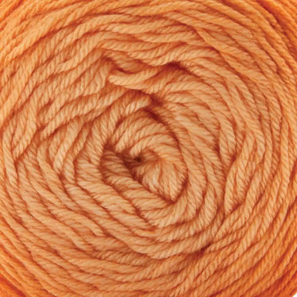 Premier Everyday Worsted Gradient Yarn