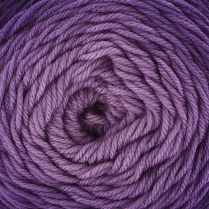 Premier Everyday Worsted Gradient Yarn