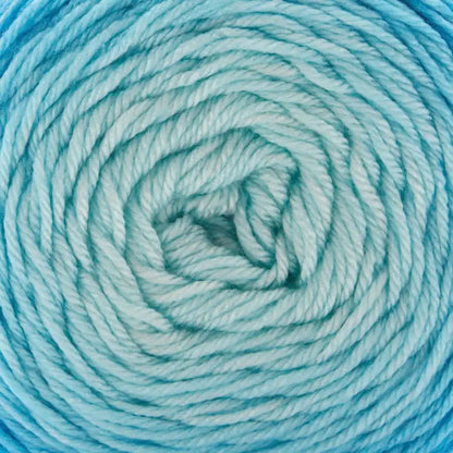 Premier Everyday Worsted Gradient Yarn