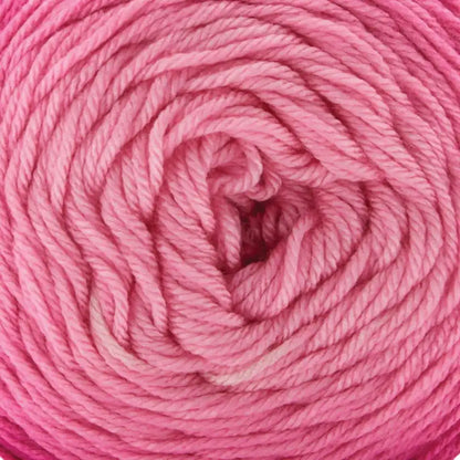 Premier Everyday Worsted Gradient Yarn