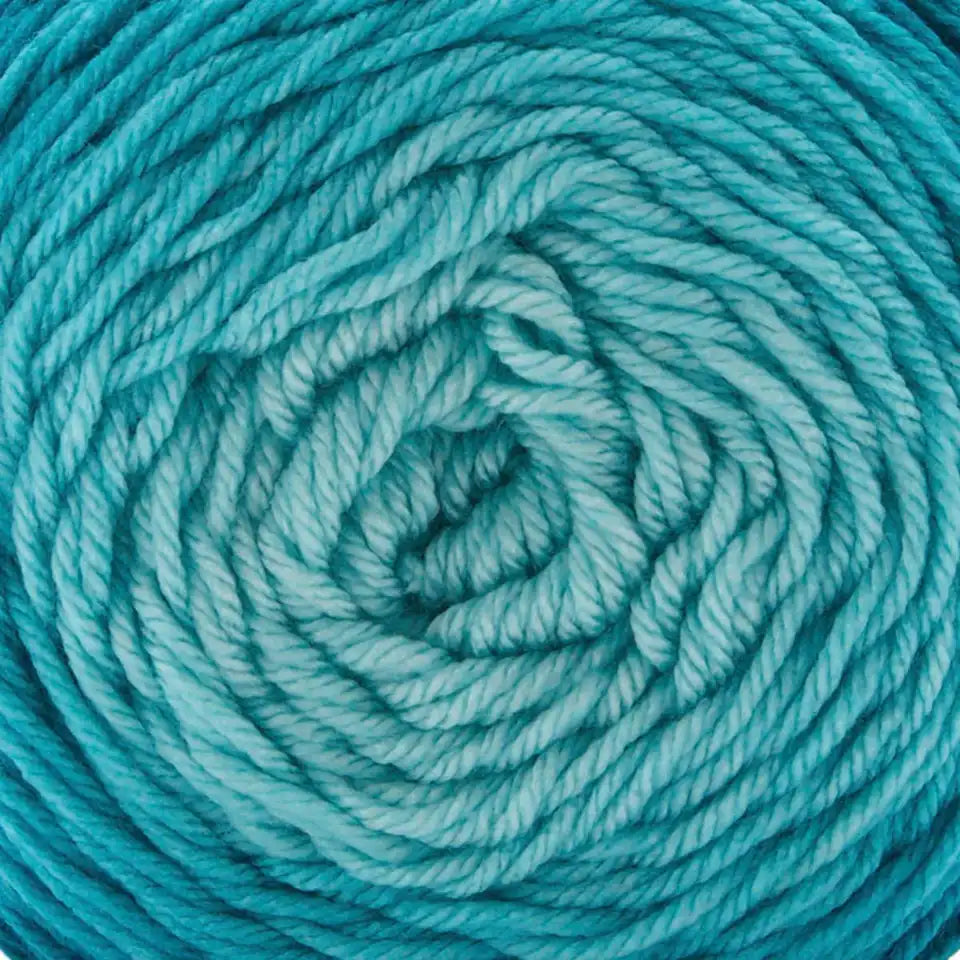 Premier Everyday Worsted Gradient Yarn