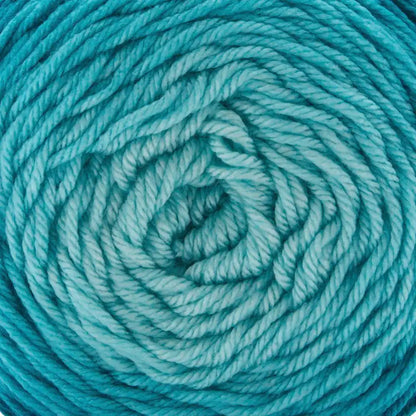 Premier Everyday Worsted Gradient Yarn