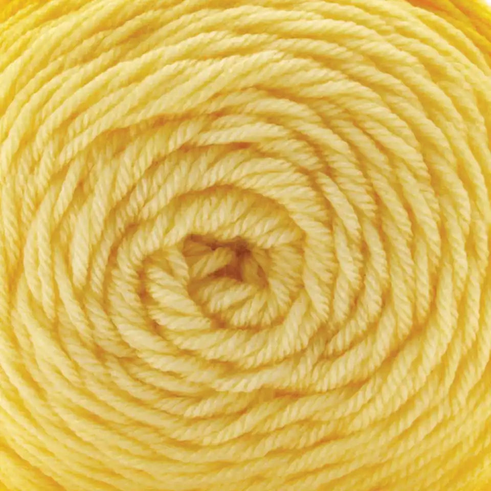 Premier Everyday Worsted Gradient Yarn