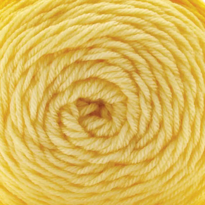 Premier Everyday Worsted Gradient Yarn