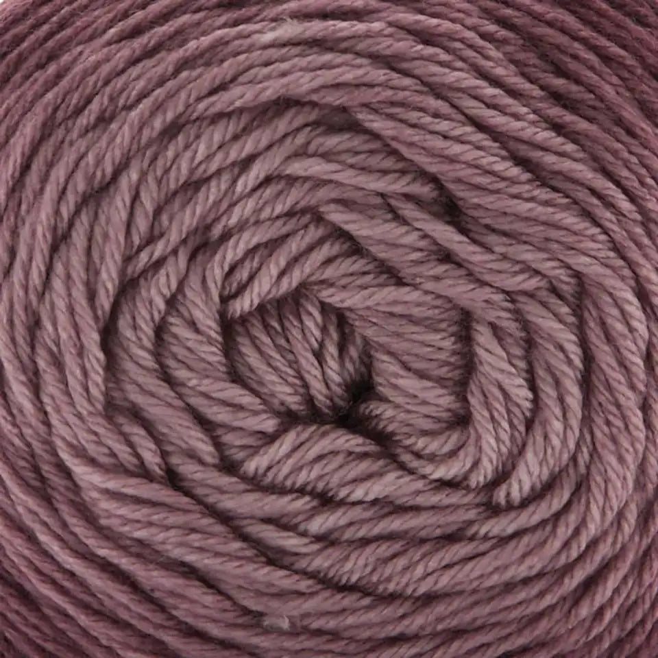 Premier Everyday Worsted Gradient Yarn