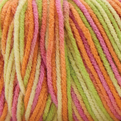 Premier Basix Worsted Multi Yarn