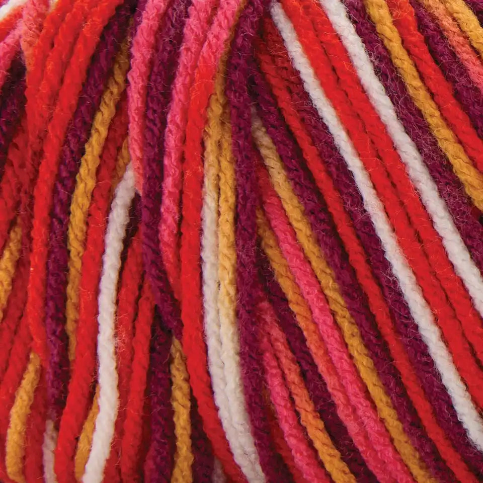 Premier Basix Worsted Multi Yarn