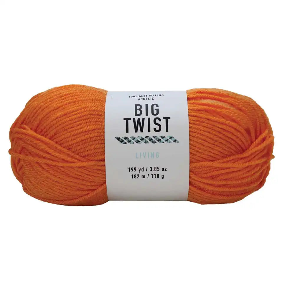 Big Twist Living Yarn