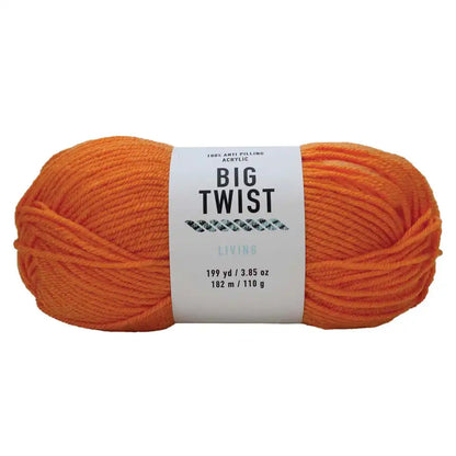 Big Twist Living Yarn