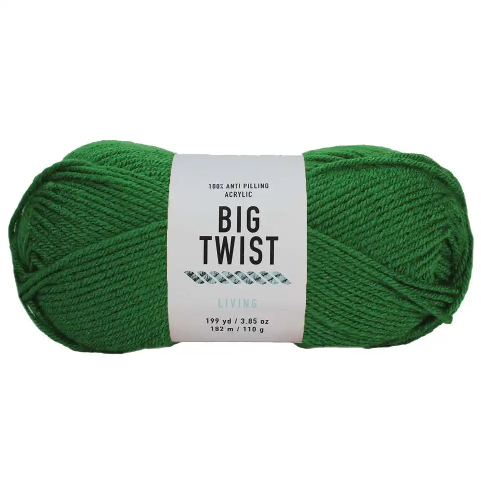 Big Twist Living Yarn