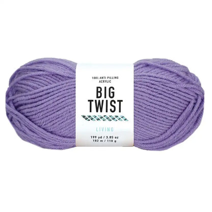 Big Twist Living Yarn