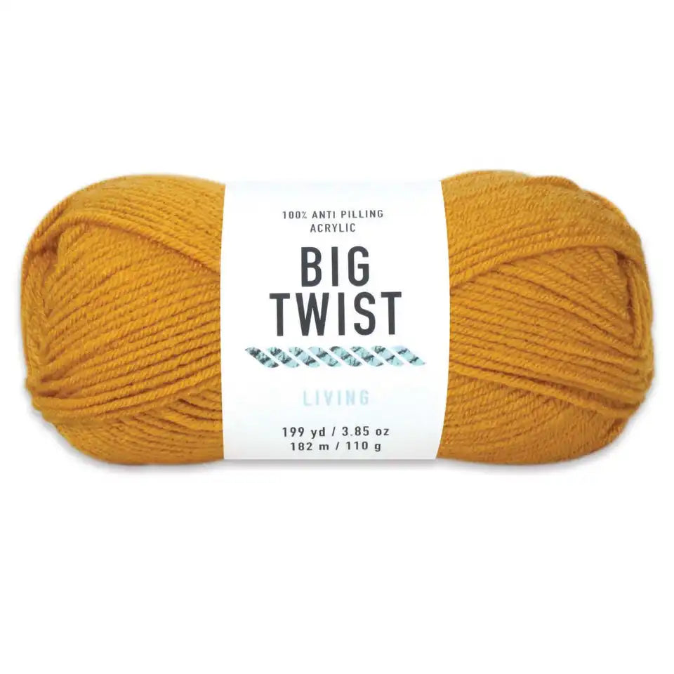 Big Twist Living Yarn