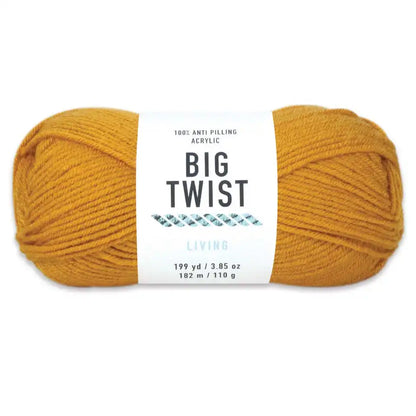 Big Twist Living Yarn