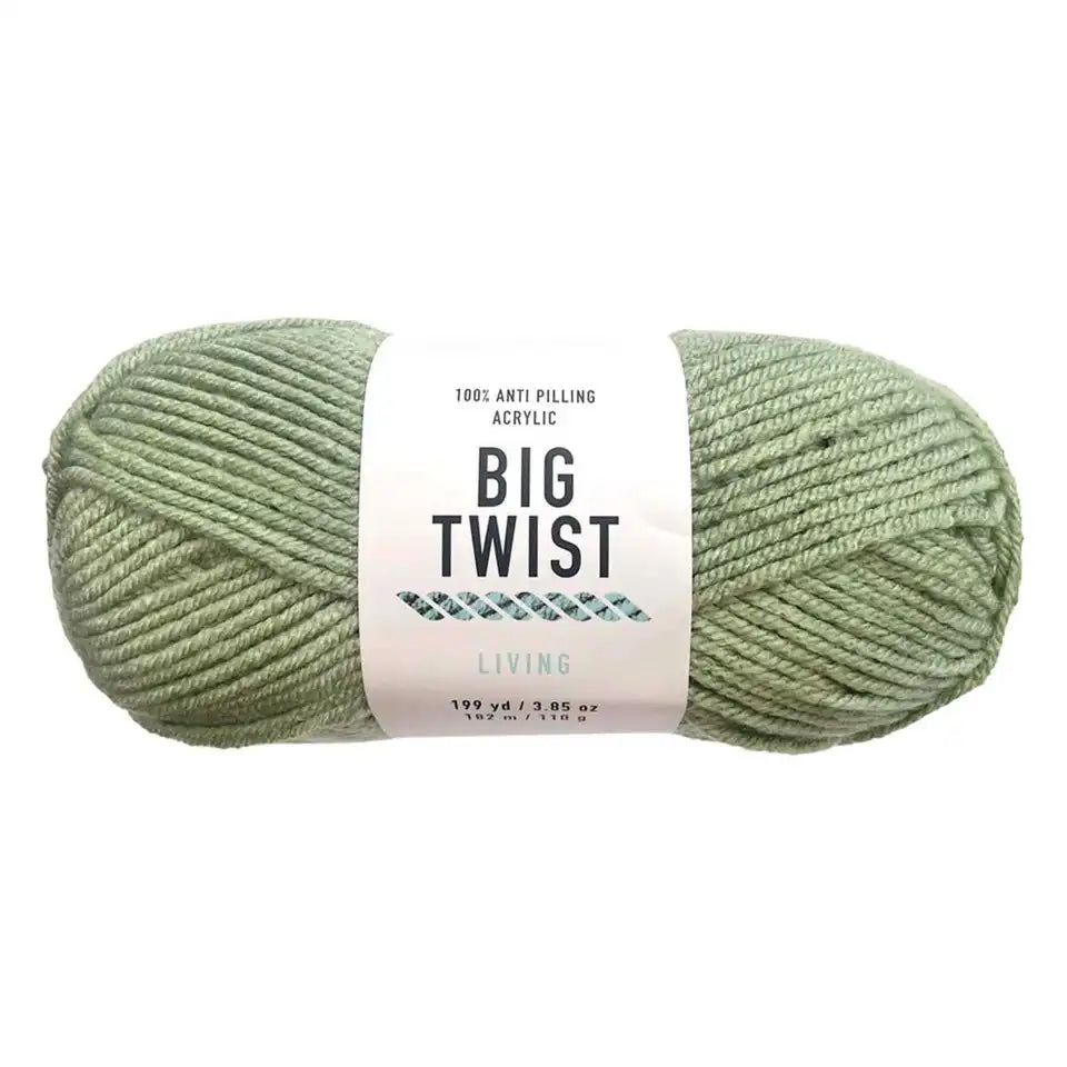 Big Twist Living Yarn