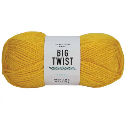 Big Twist Living Yarn