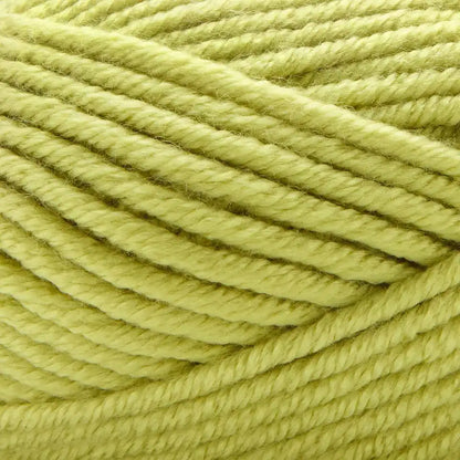 Premier Everyday Bulky Yarn