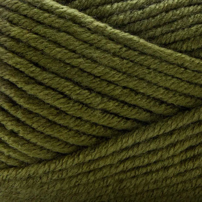 Premier Everyday Bulky Yarn