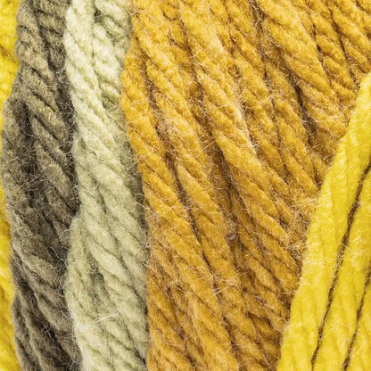 Red Heart Super Easy Stripes Yarn