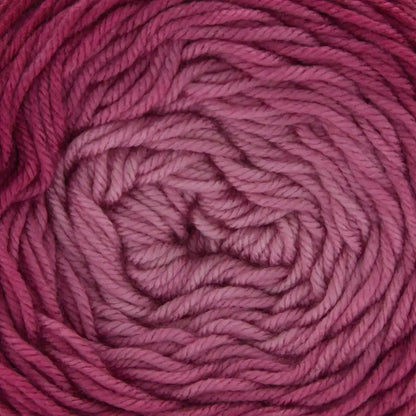Premier Everyday Worsted Gradient Yarn