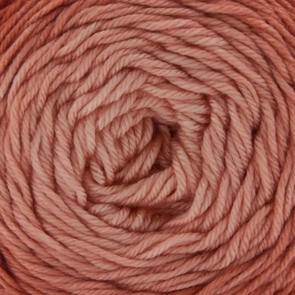 Premier Everyday Worsted Gradient Yarn