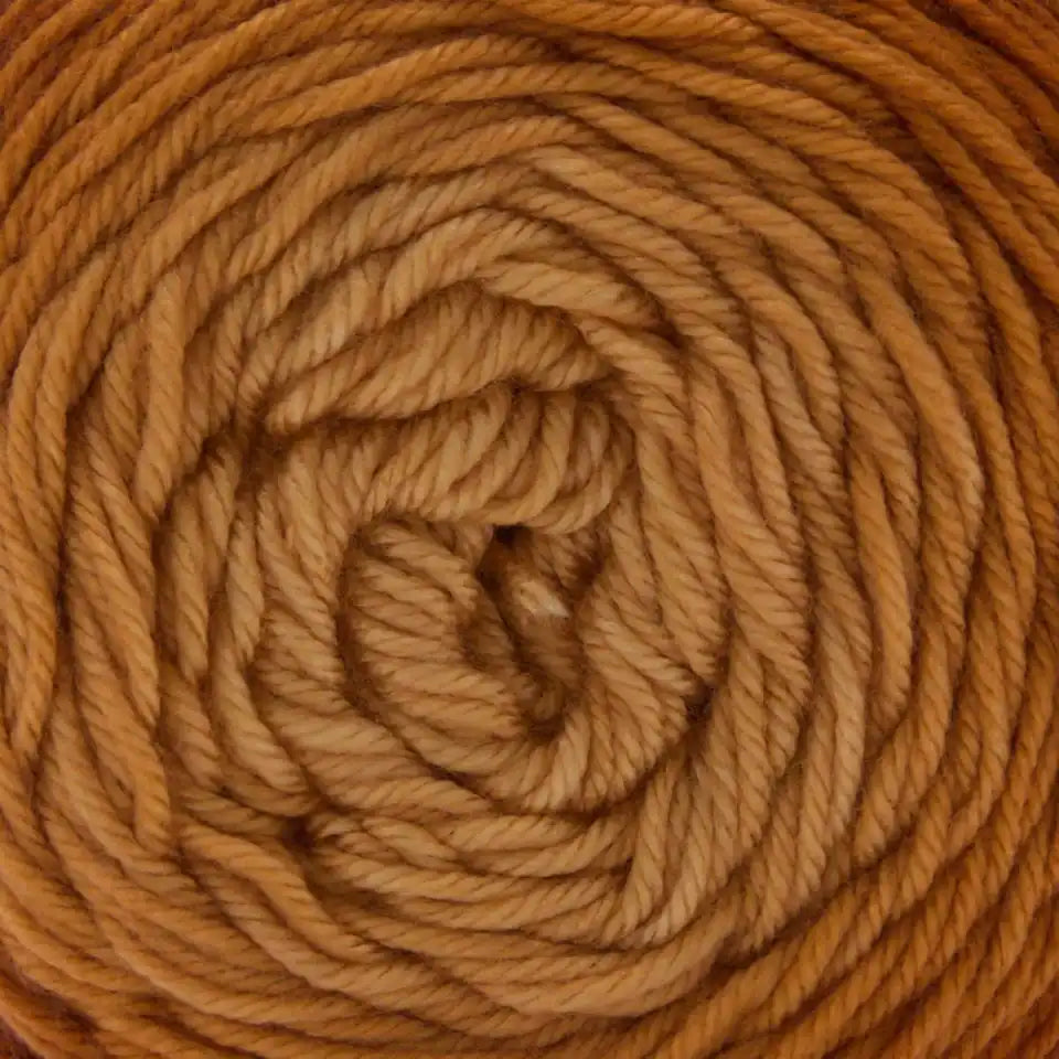 Premier Everyday Worsted Gradient Yarn