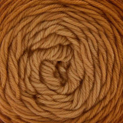 Premier Everyday Worsted Gradient Yarn
