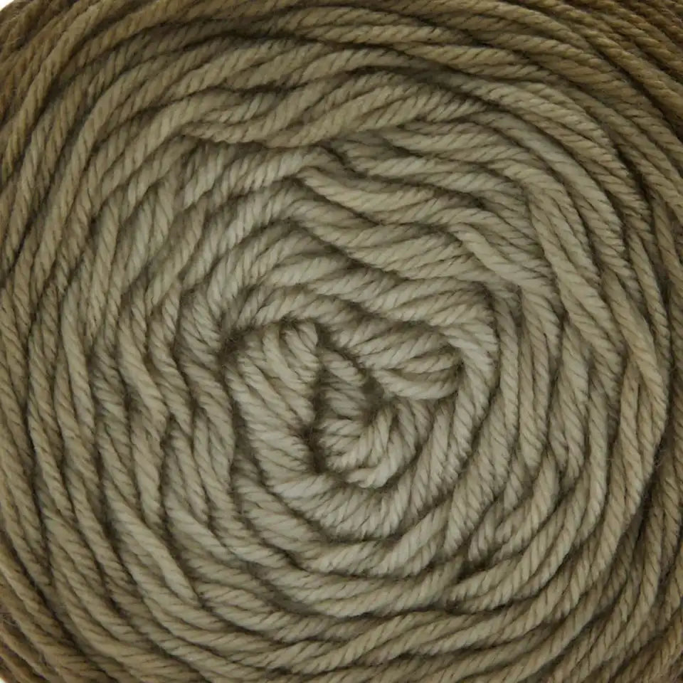 Premier Everyday Worsted Gradient Yarn
