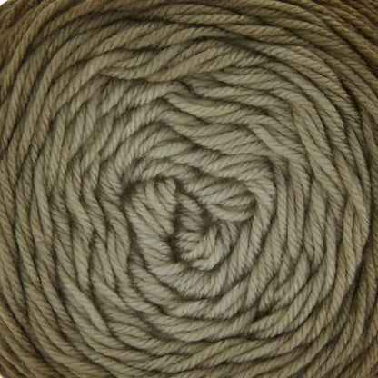 Premier Everyday Worsted Gradient Yarn
