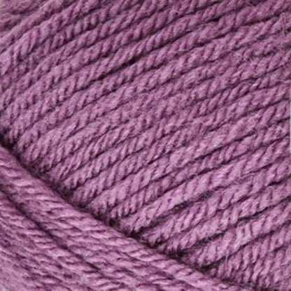 Lion Brand VANNAS CHOICE YARN - Bag of 3 Yarn Pack