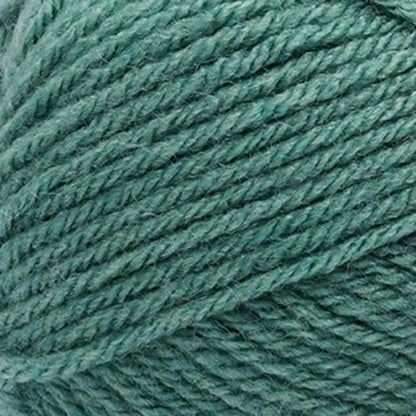 Lion Brand VANNAS CHOICE YARN - Bag of 3 Yarn Pack