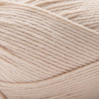 Premier Anti-Pilling Select Yarn