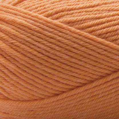 Premier Anti-Pilling Select Yarn