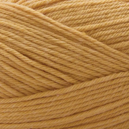 Premier Anti-Pilling Select Yarn