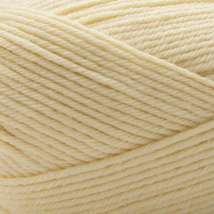 Premier Anti-Pilling Select Yarn