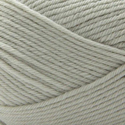 Premier Anti-Pilling Select Yarn