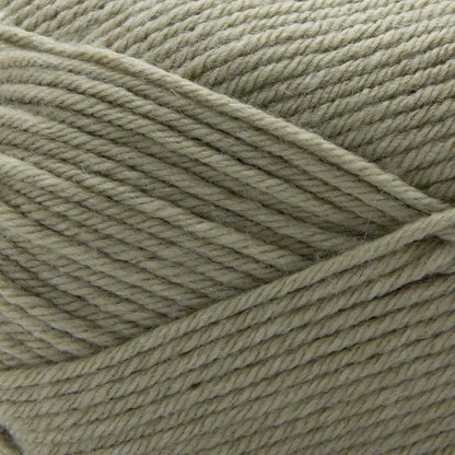 Premier Anti-Pilling Select Yarn