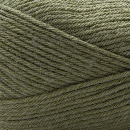 Premier Anti-Pilling Select Yarn