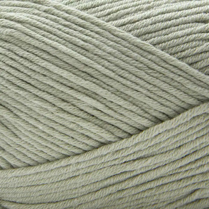 Premier Cotton Fair Worsted Yarn