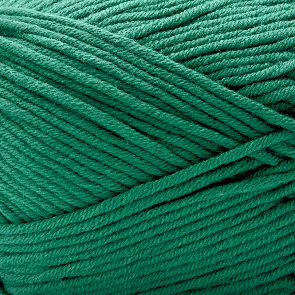 Premier Cotton Fair Worsted Yarn