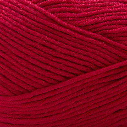 Premier Cotton Fair Worsted Yarn