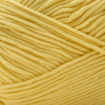 Premier Cotton Fair Worsted Yarn
