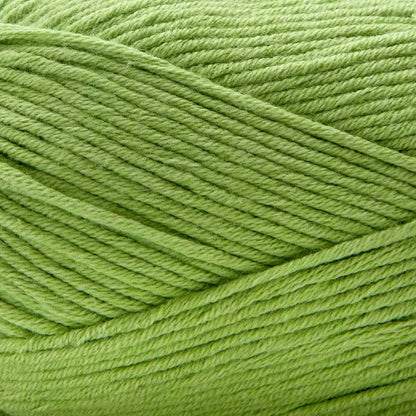 Premier Cotton Fair Worsted Yarn