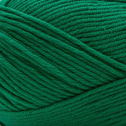 Premier Cotton Fair Worsted Yarn