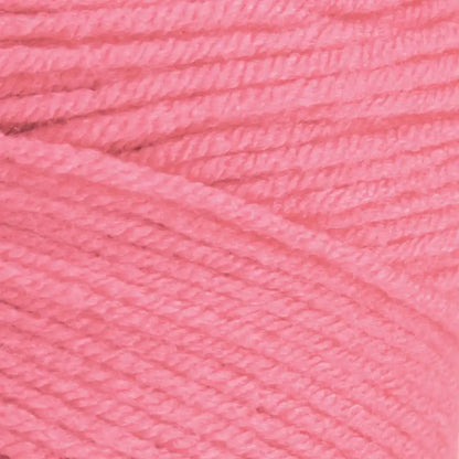 Premier Basix Worsted-Bag of 3 Yarn Pack